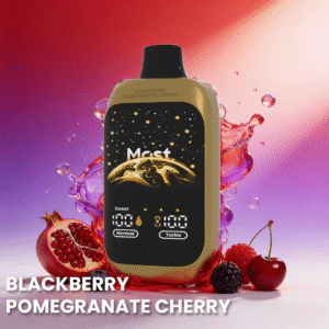 Double Happines Action 12000PUFFS Blackberry Pomegranate Cherry