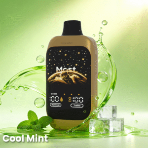 Double Happines Action 12000PUFFS Cool Mint